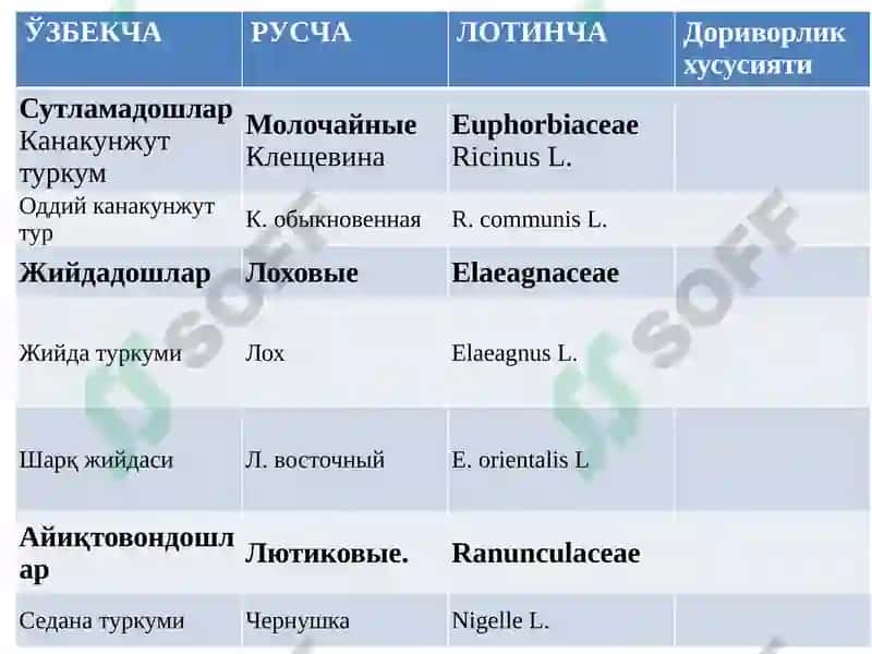 Толали доривор ўсимликлари 6
