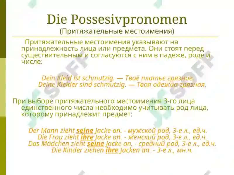 Das Pronomen 6