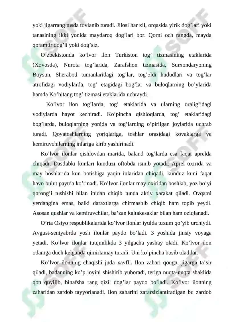 Surxondaryo viloyati sharoitida uchrovchi ilonlar 6