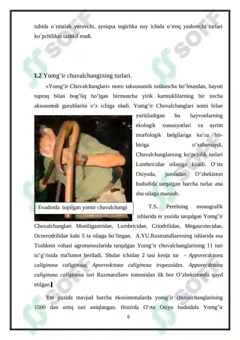 Yomg’ir Chuvalchanglari 6