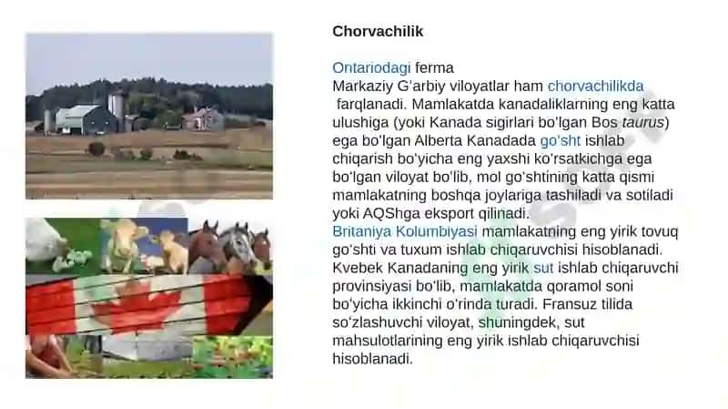 Kanada davlatining iqtisodiy holati S.W.O.T. tahlili 6