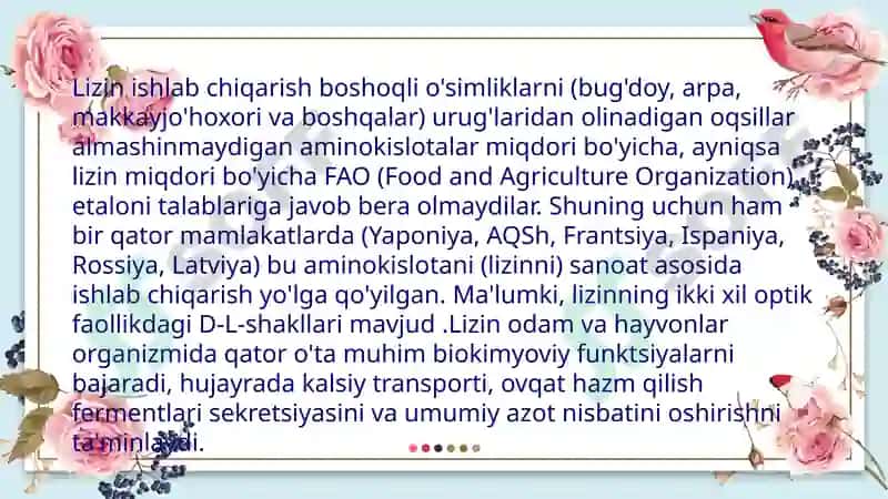 Lizinishlabchiqarishtexnologiyasi 6