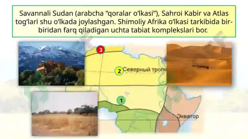 Tabiiygeografiko‘lkalari 6