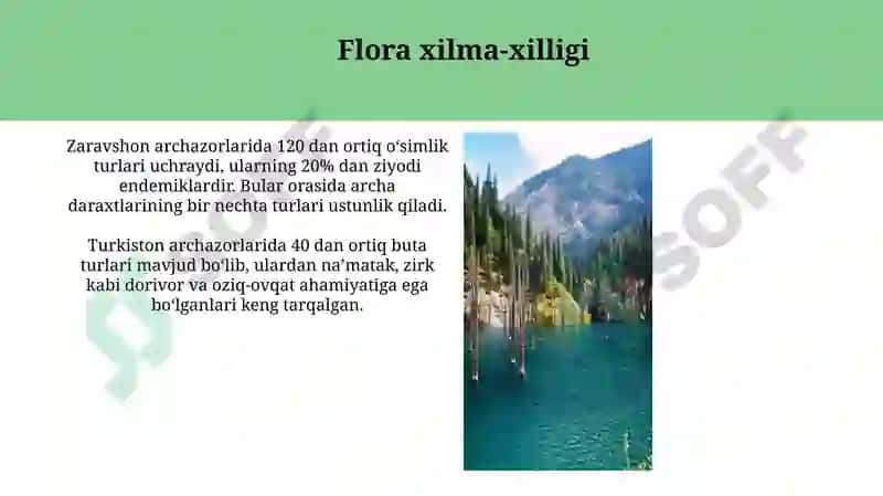 Markaziy Osiyoning archazorlari 6