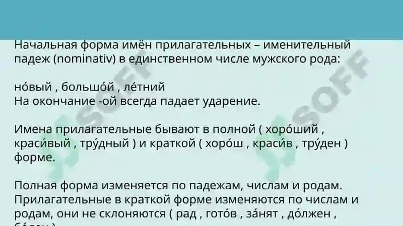 Презентация на тему ИМЯ ПРИЛАГАТЕЛЬНОЕ 6