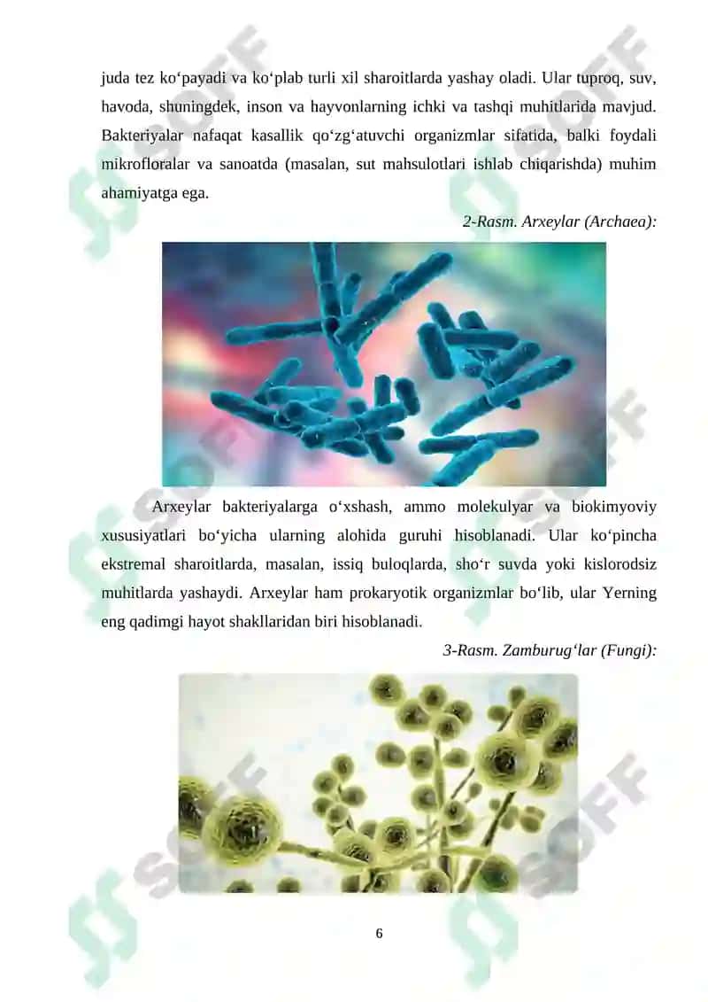 FERMENTLI PREPARATLAR ISHLAB CHIQARISH 6