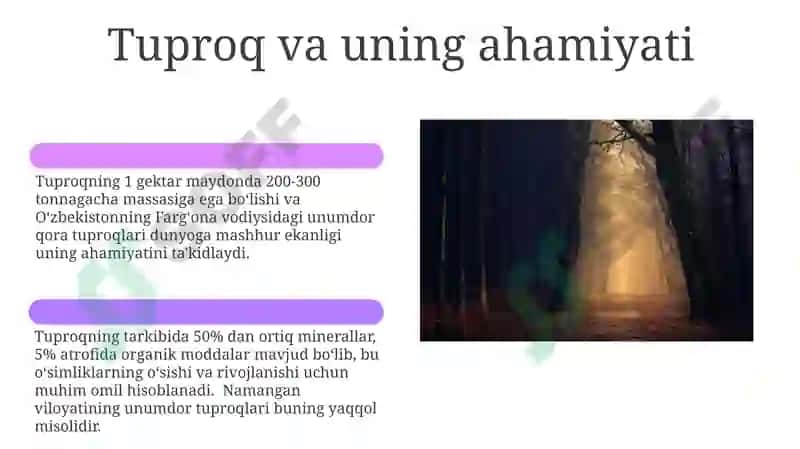 Tabiiy fandan jonli va jonsiz tabiat 6
