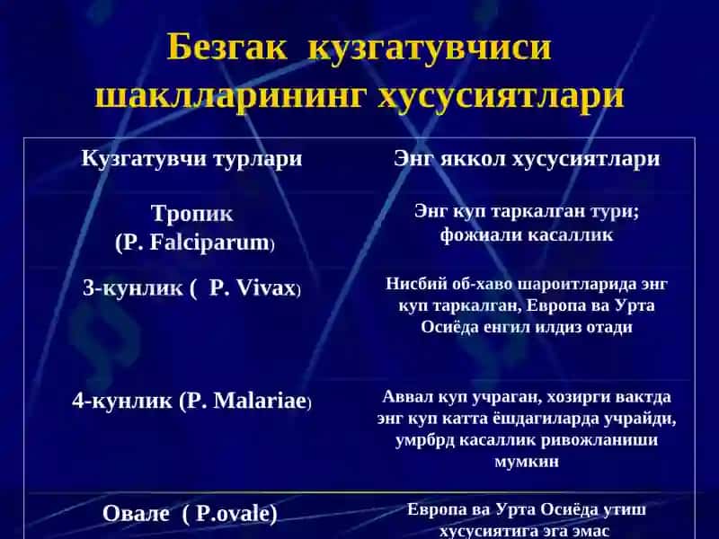 Безгак 7