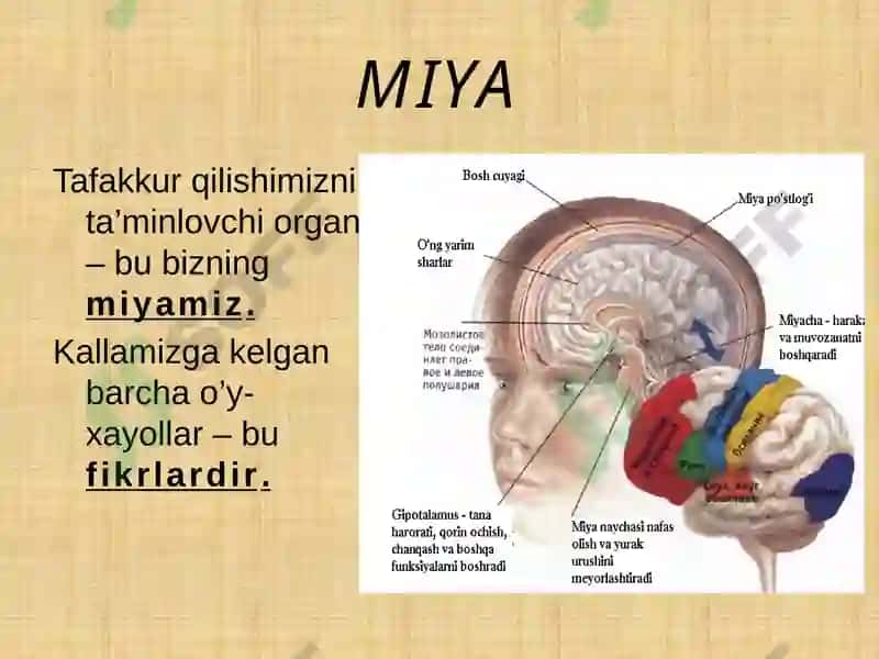 Obshaya Psixologiya 7