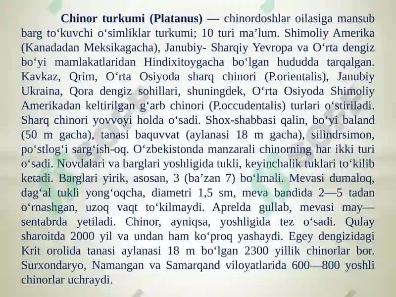 Temirdaraxt kabilarsinfchasi 7