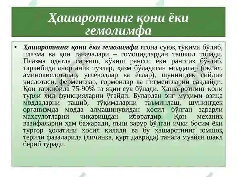Ҳашаротларнинг овқат ҳазм қилиш тизими 7