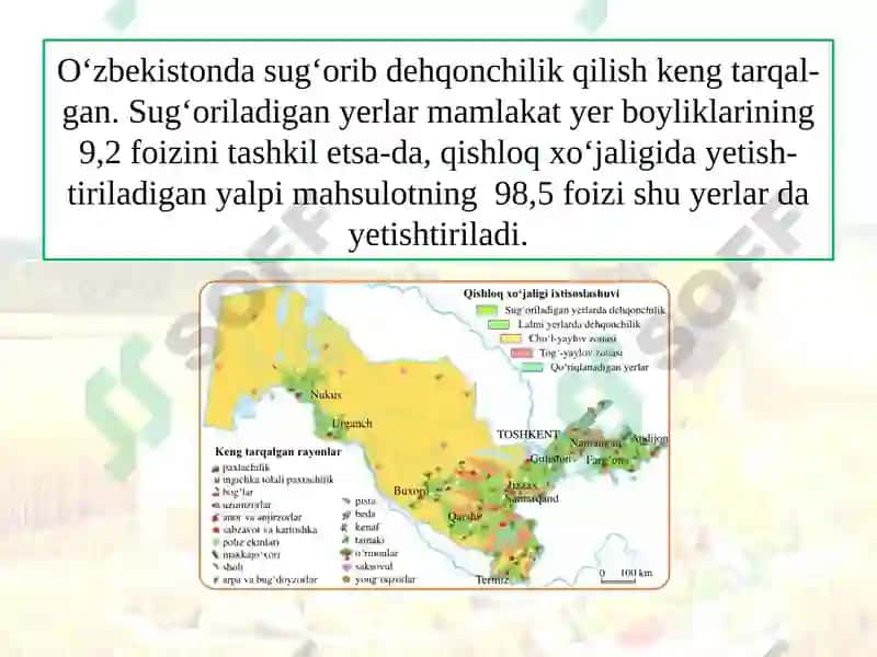 DEHQONCHILIK 7