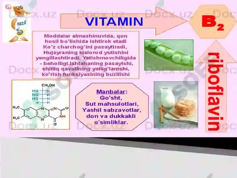 Organizmning vitaminlar bilantasi 7
