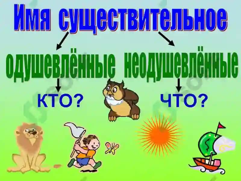 Имя существительное 7