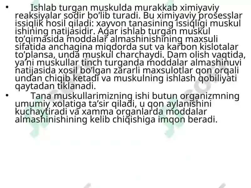 Muskullarning tuzilishi vafassiyasi 7