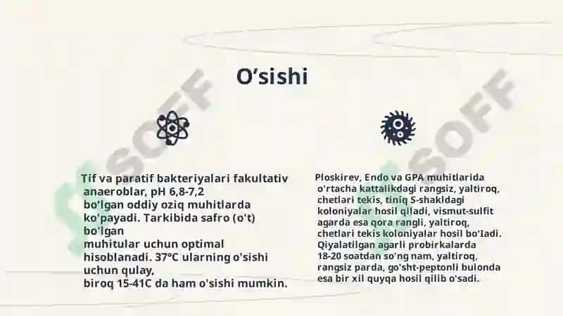 Qorin tifi va Paratif A va V 7