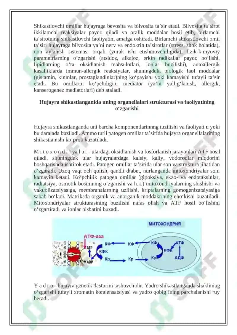 Hujayra patofiziologiyasi 7