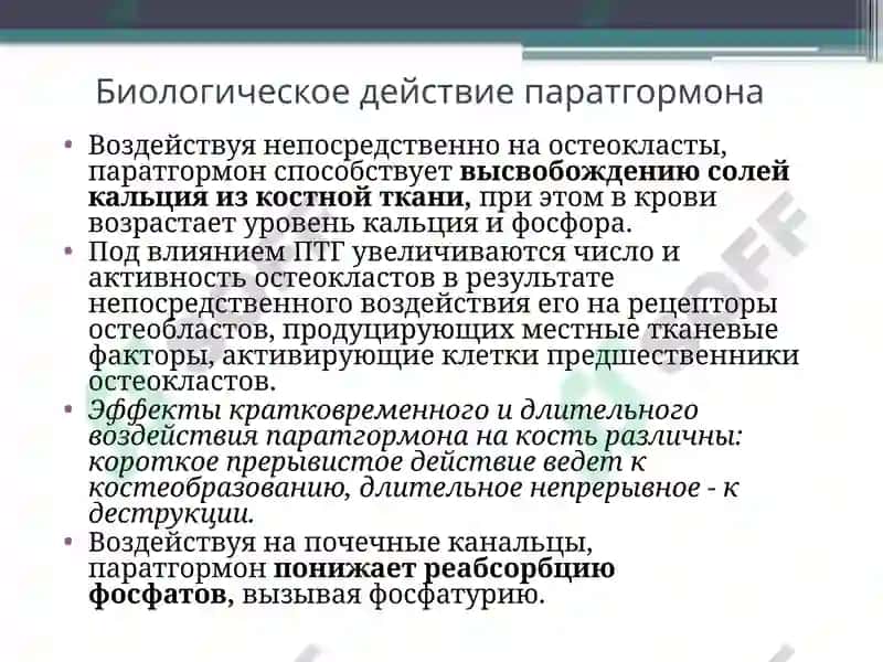 Заболевания паращитовидных желез. Гипер- и гипопаратиреоз. 7
