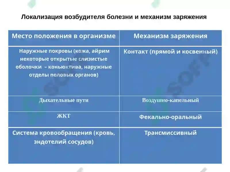 Основы общей эпидемиологии 7