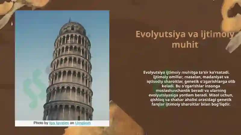Zamonaviy odamning evolyutsiyasi 7