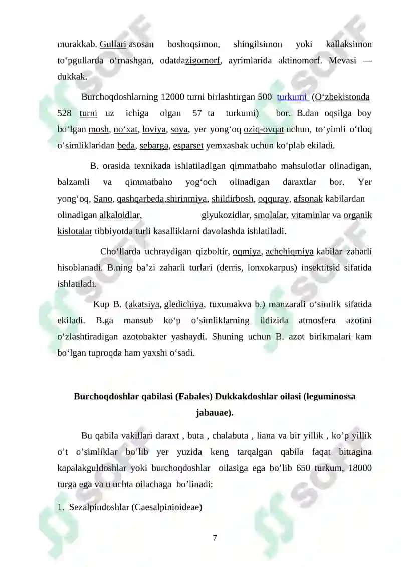 Burchoqdoshlar oilasi kurs ishi 7