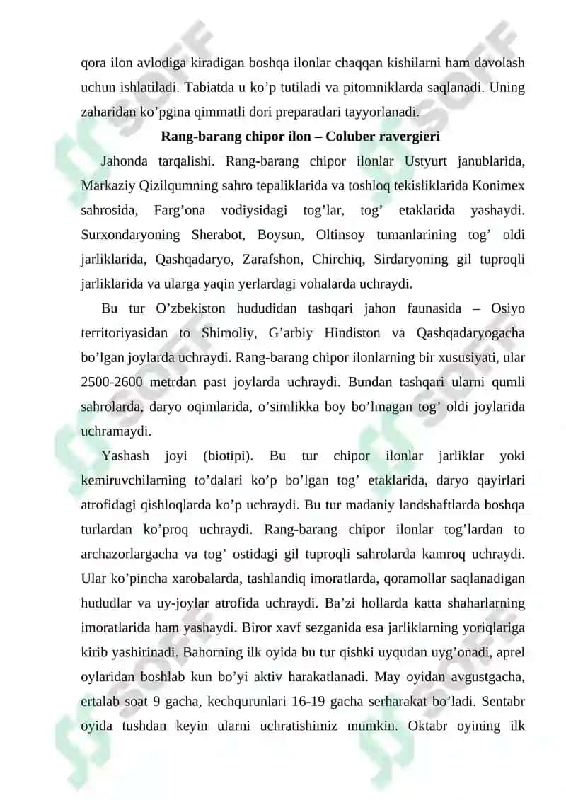 Surxondaryo viloyati sharoitida uchrovchi ilonlar 7