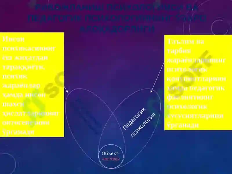 РИВОЖЛАНИШ ПСИХОЛОГИЯСИ 7
