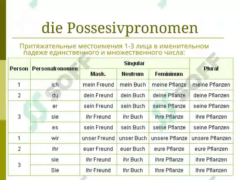 Das Pronomen 7