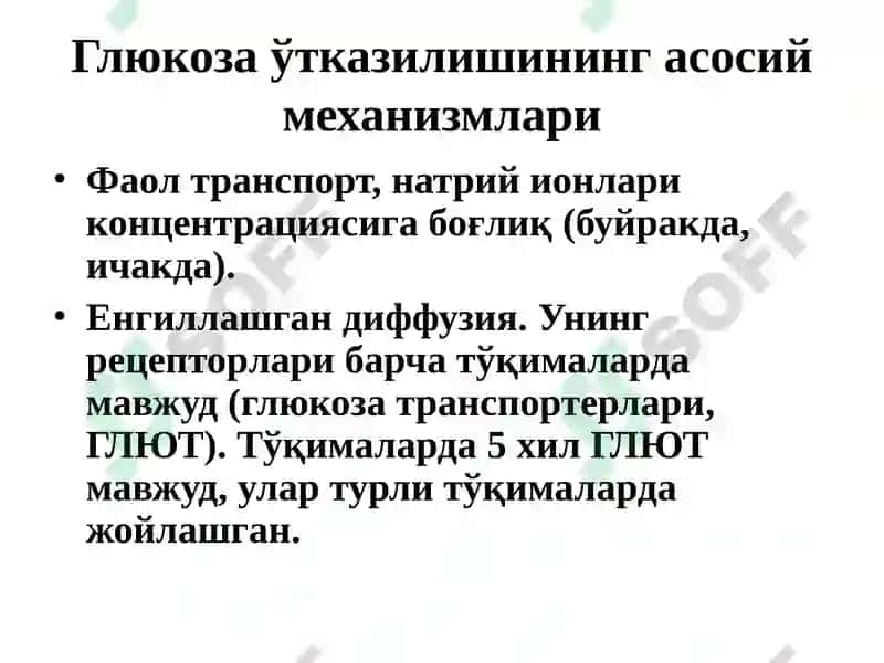 Углеводлар ҳазмланиши ва сўрилиши 7