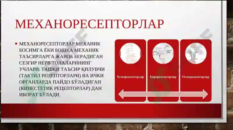 Сезгилар клаcсификацияси 7