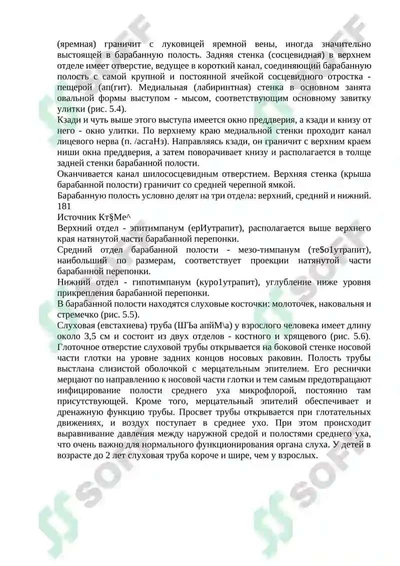 КЛИНИЧЕСКАЯ АНАТОМИЯ 7