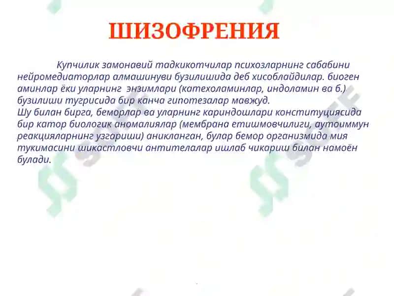 Шизофрения 7