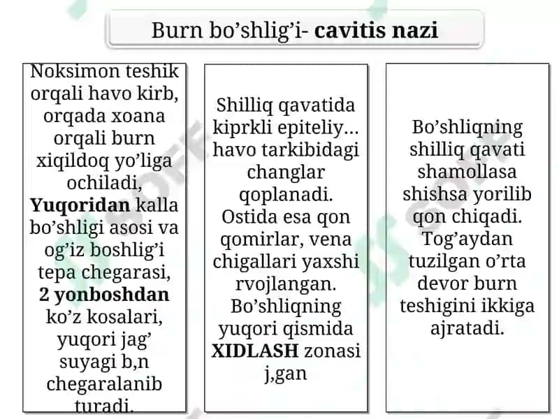 Nafas olish fiziologiyasi 7