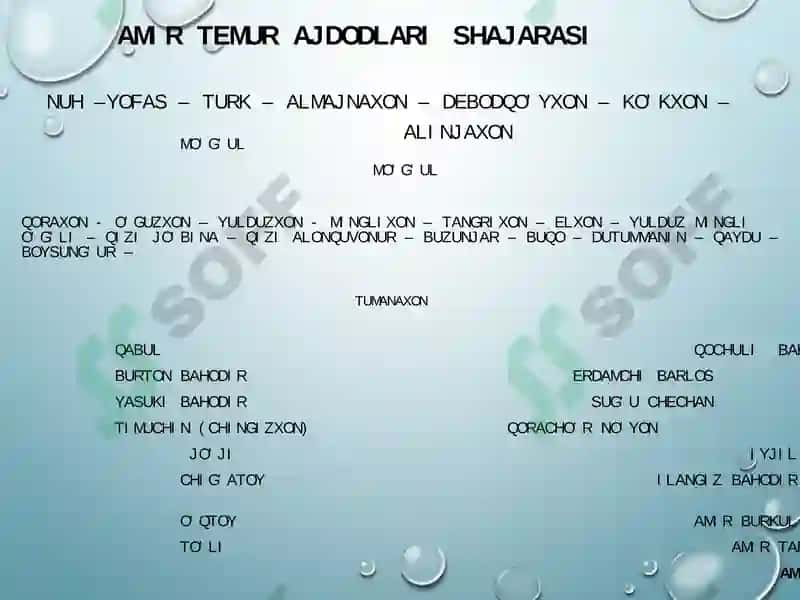 AmirTemur va Temuriylar Davlat Arbobi 7