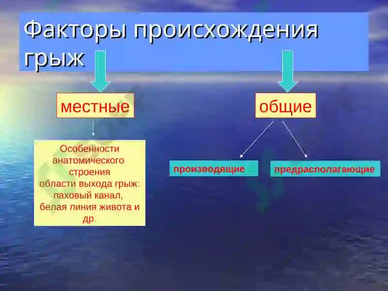 ГРЫЖИ ЖИВОТА 7