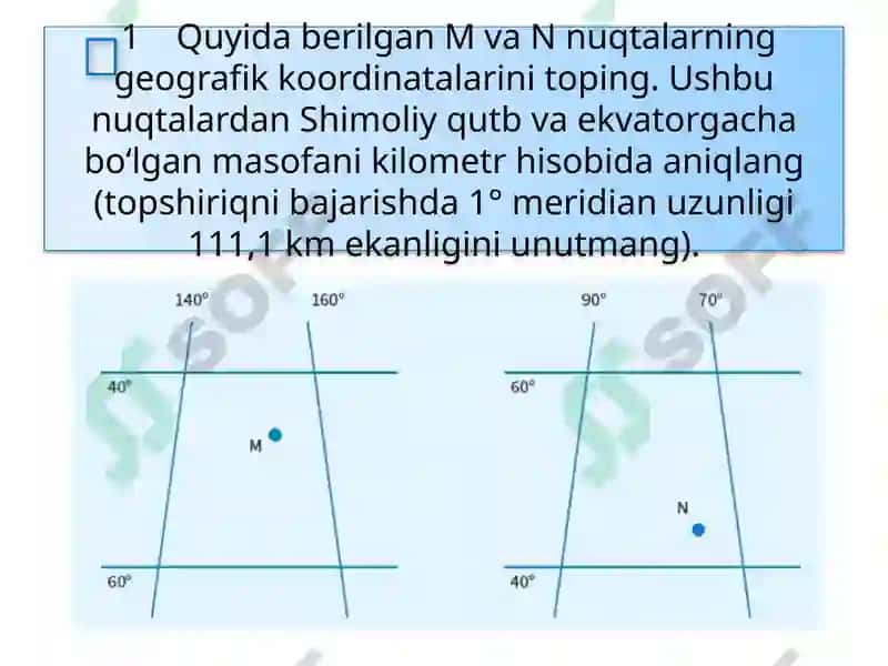 Okean Organizmlari 7