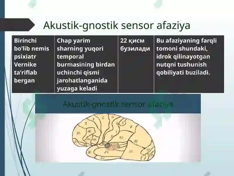 Аfaziya klassifikatsiyalari 7