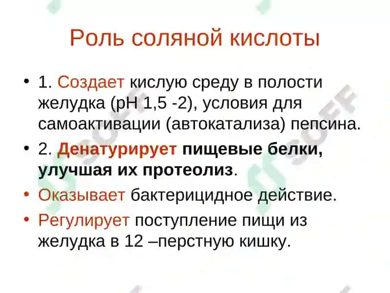Обмен белка и аминокислот 7