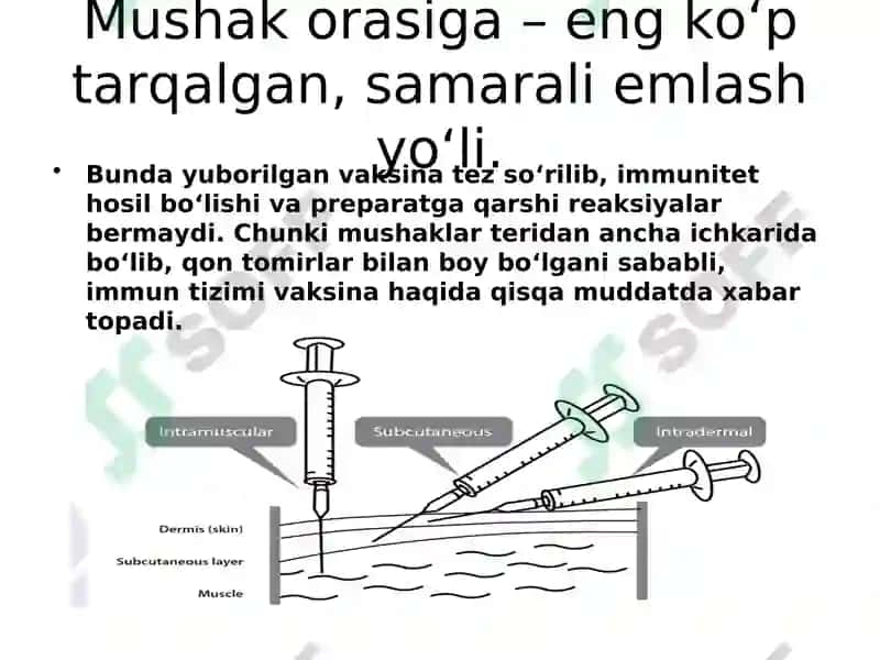 Vaksinatsiya 7