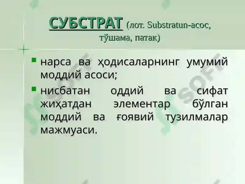 Борлиқ фалсафаси 7