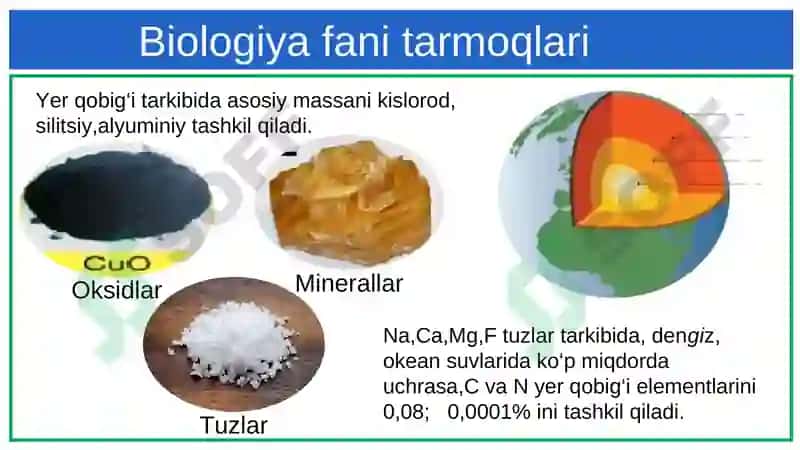Hujayralar evolyutsiyasi-mustahkamlash 7