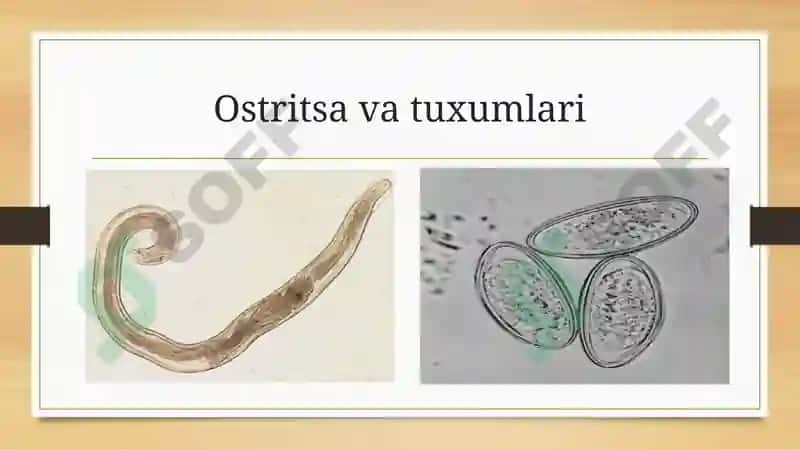Yumaloqchuval changlar 7