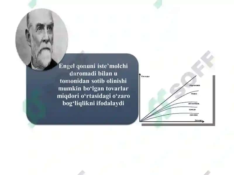 Bozor Muvozanati 7