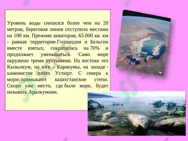 Экологические катастрофы 7