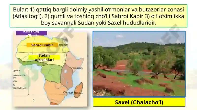 Tabiiygeografiko‘lkalari 7
