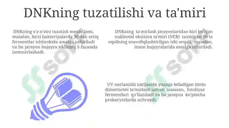 Transkripsiya va RNKning Protsesslanishi 7