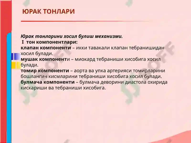 ЮРАК АУСКУЛЬТАЦИЯСИ 7