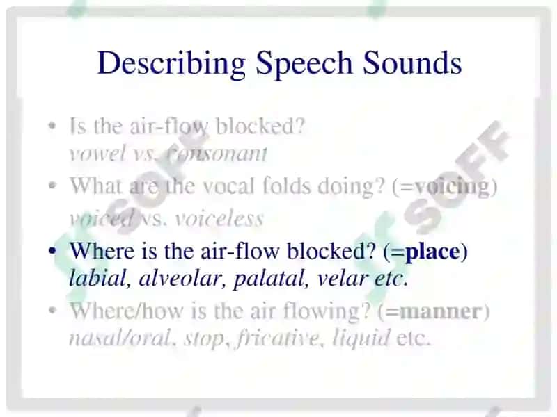 THE SYSTEM OF ENGLISH consonant PHONEMES 7