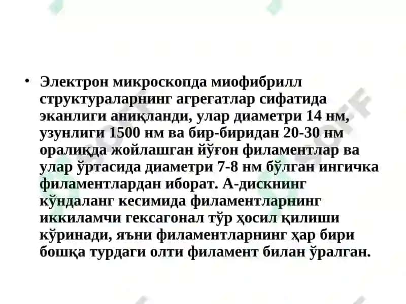 Юракқон томир тизими биокимёси 7