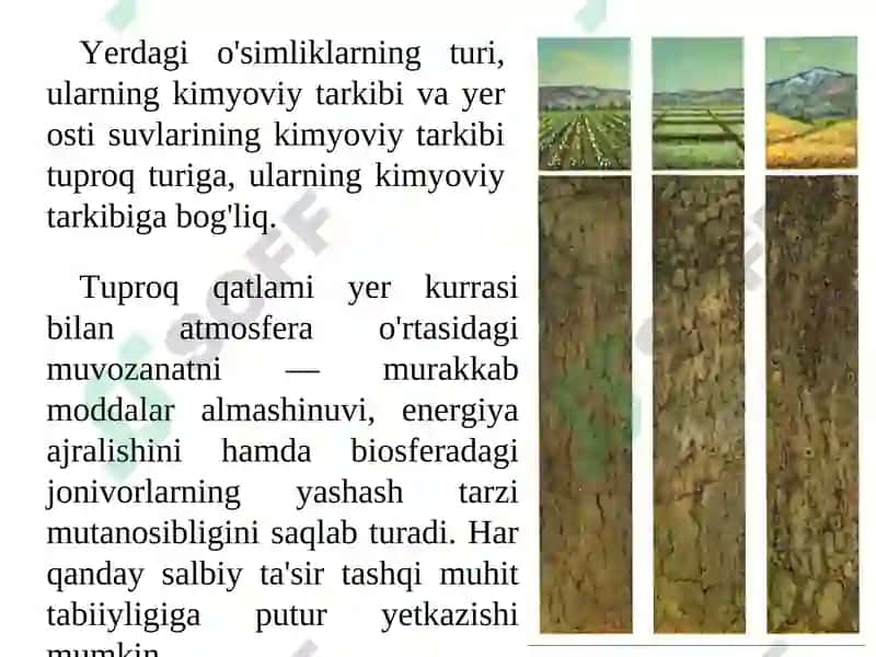 Tuproq gigienasi 7